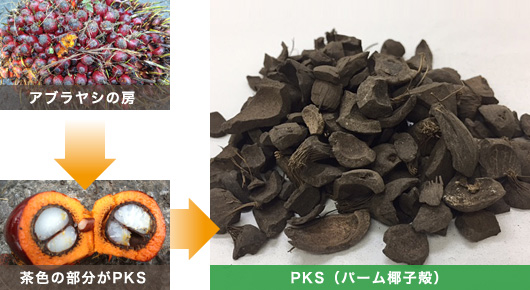 PKS（パーム椰子殻）